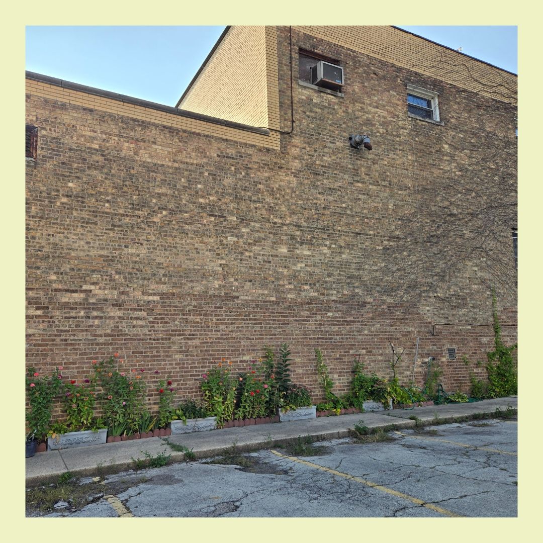 brick building and parking lot with plants growing beside building